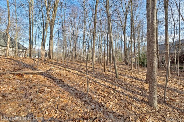 9889 Kingston Ridge, Springfield Charter Township, MI 48348