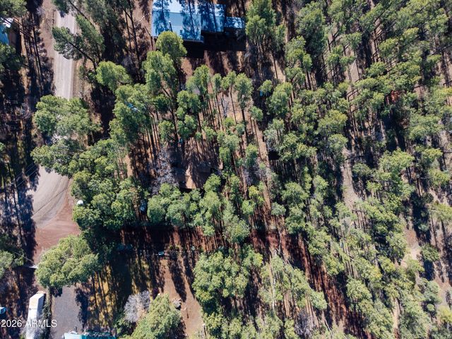 146 DEER RUN Road, Lakeside, AZ 85929