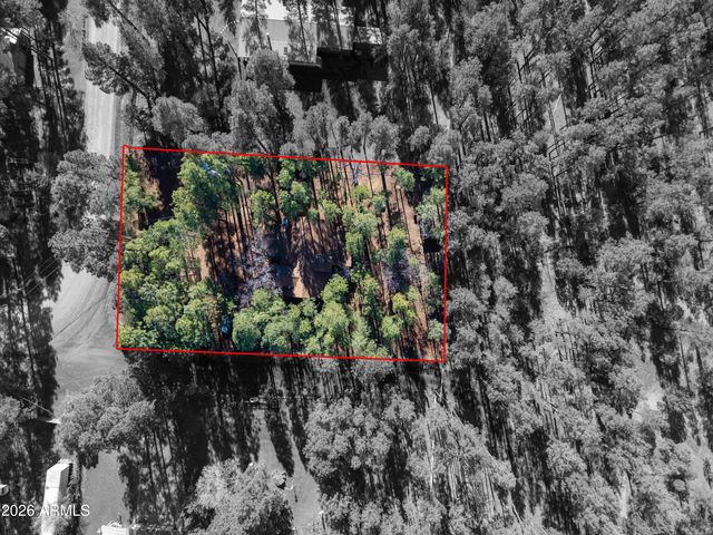 146 DEER RUN Road, Lakeside, AZ 85929