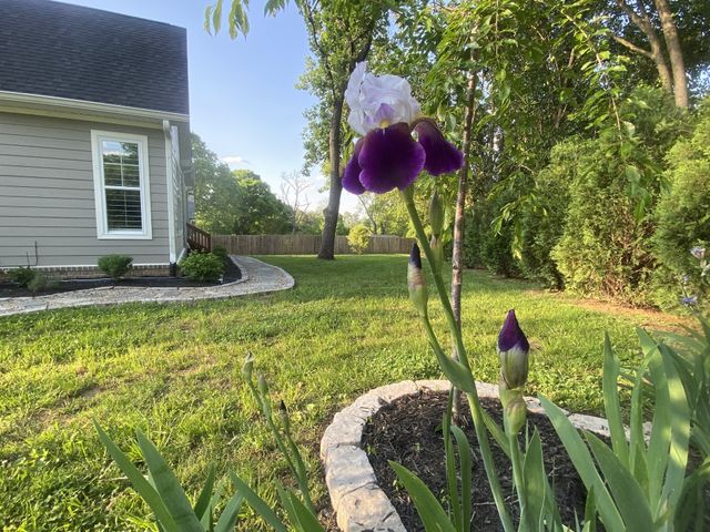 3954 Keeley Dr, Nashville, TN 37211