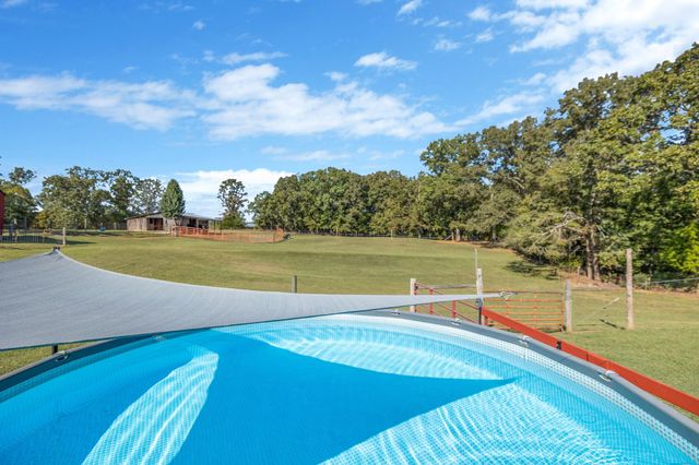 705 Spanish Grove Rd, Buena Vista, TN 38318