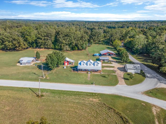 705 Spanish Grove Rd, Buena Vista, TN 38318