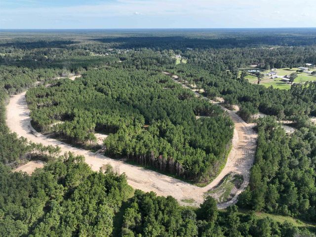 Lot 21 Honey Grove, Livingston, LA 70754