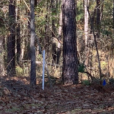 180 Sports, Onalaska, TX 77360