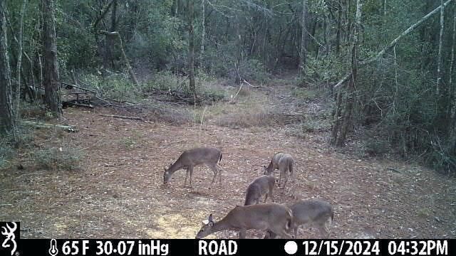 4 Ac Seven Oaks Road, Defuniak Springs, FL 32433