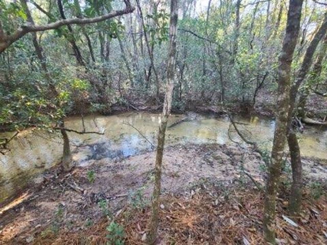 4 Ac Seven Oaks Road, Defuniak Springs, FL 32433