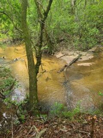 4 Ac Seven Oaks Road, Defuniak Springs, FL 32433