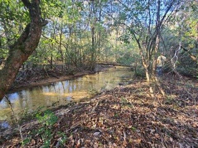 4 Ac Seven Oaks Road, Defuniak Springs, FL 32433
