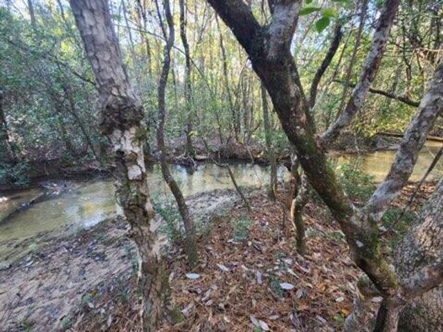 4 Ac Seven Oaks Road, Defuniak Springs, FL 32433
