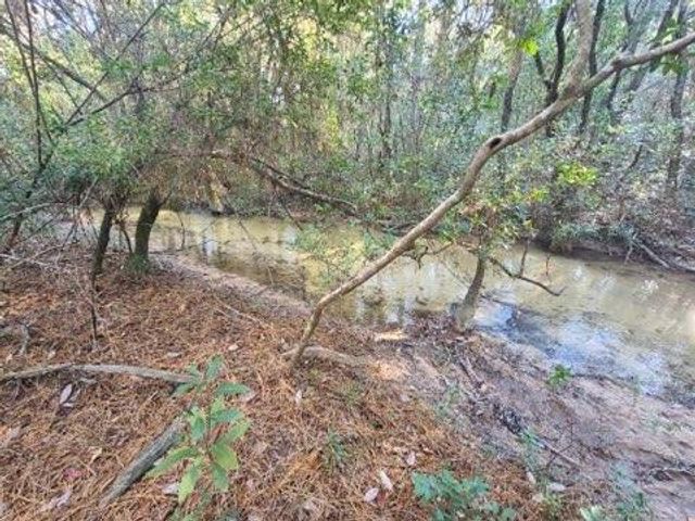 4 Ac Seven Oaks Road, Defuniak Springs, FL 32433