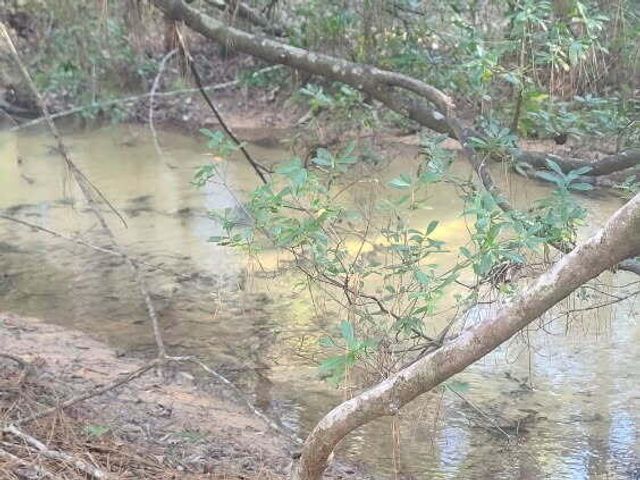 4 Ac Seven Oaks Road, Defuniak Springs, FL 32433
