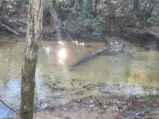 4 Ac Seven Oaks Road, Defuniak Springs, FL 32433