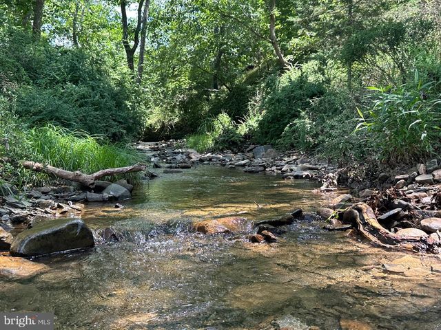 200 AC ON CACAPON RIVER & GW NATIONAL FOREST, Yellow Spring, WV 26865