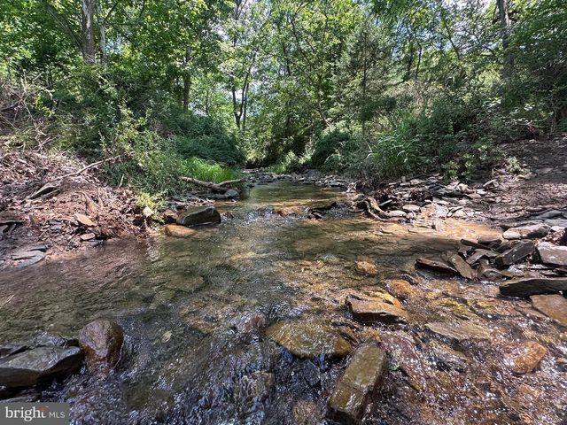 200 AC ON CACAPON RIVER & GW NATIONAL FOREST, Yellow Spring, WV 26865