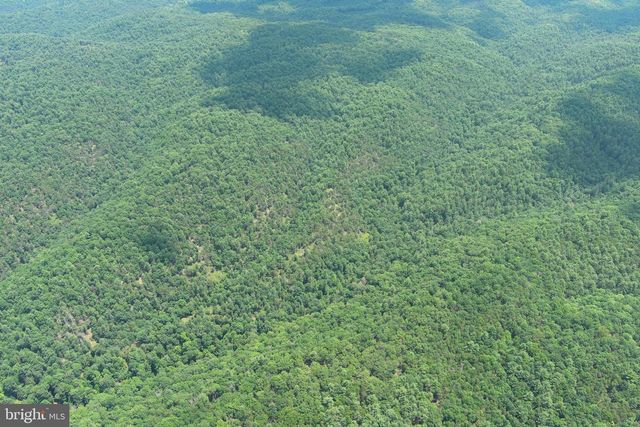 200 AC ON CACAPON RIVER & GW NATIONAL FOREST, Yellow Spring, WV 26865