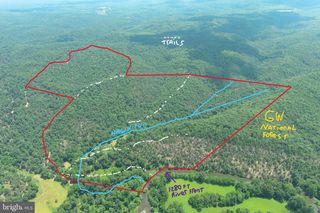 200 AC ON CACAPON RIVER & GW NATIONAL FOREST, Yellow Spring, WV 26865