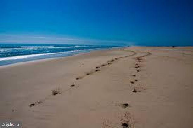 LOT 3 STEPHEN DECATUR, Ocean City, MD 21842