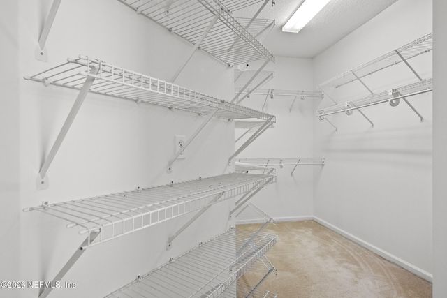 13619 MARSH HARBOR Drive N, Jacksonville, FL 32225