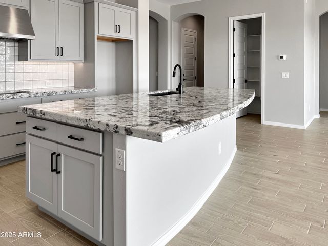 15787 W Mariposa Grande Street, Surprise, AZ 85387