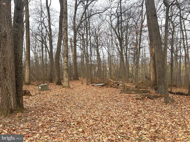 2199 BLACKS SCHOOL HOUSE RD, Taneytown, MD 21787