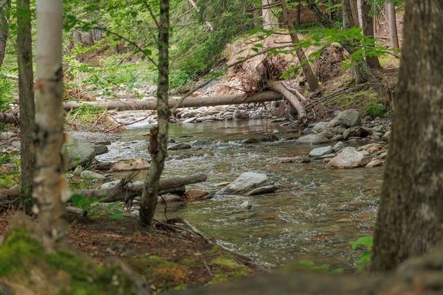 2042 Nebraska Valley, Stowe, VT 05672