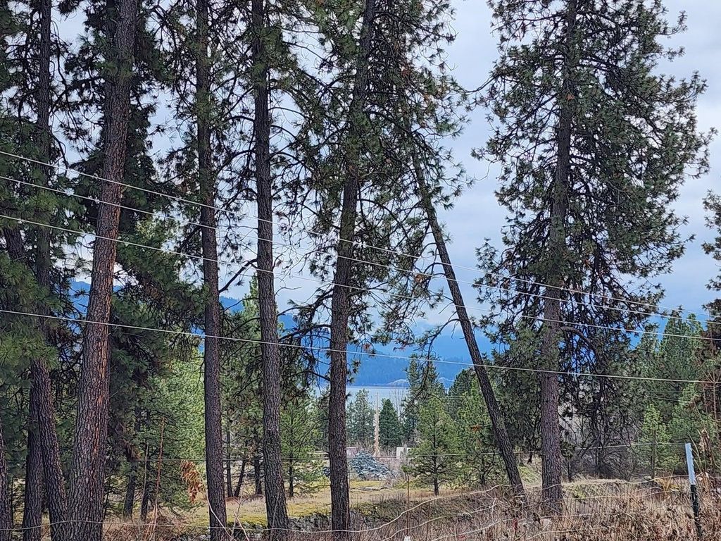 7 Nancy Creek Rd, Kettle Falls, WA 99141 photo 5