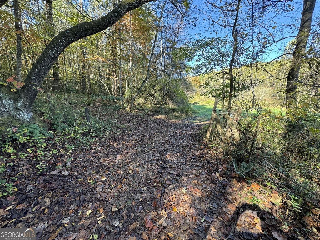 0 Saffron Lane, Blue Ridge, GA 30513
