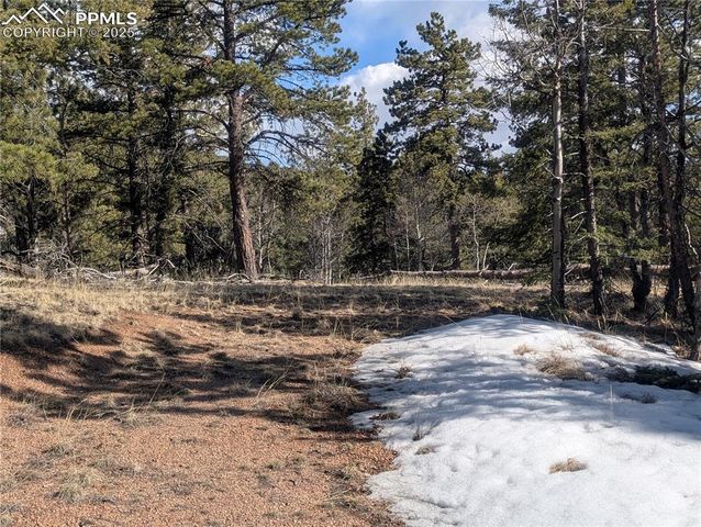 56 Rampart Circle, Florissant, CO 80816