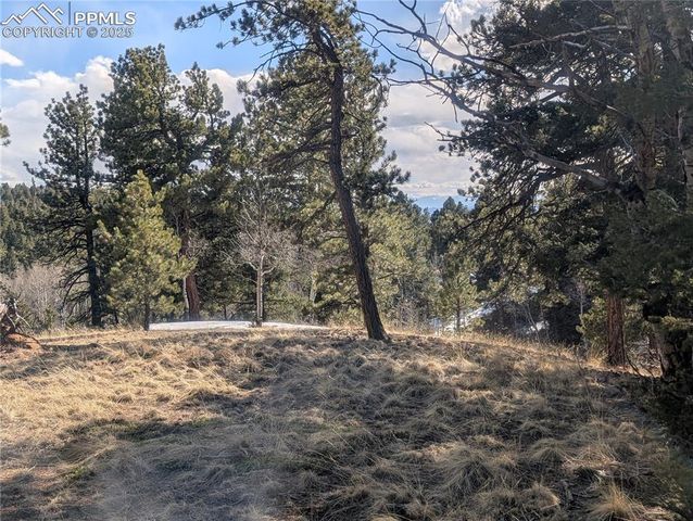 56 Rampart Circle, Florissant, CO 80816