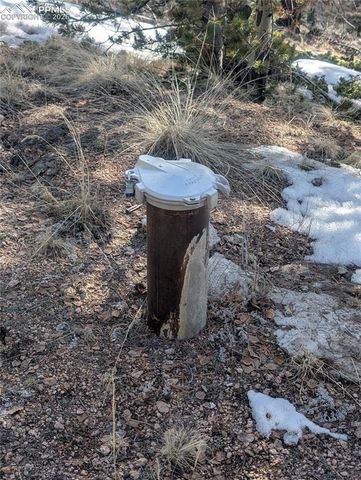 56 Rampart Circle, Florissant, CO 80816