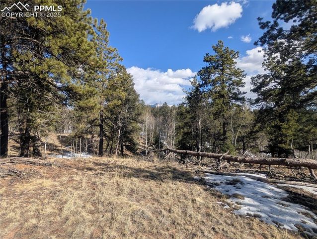 56 Rampart Circle, Florissant, CO 80816