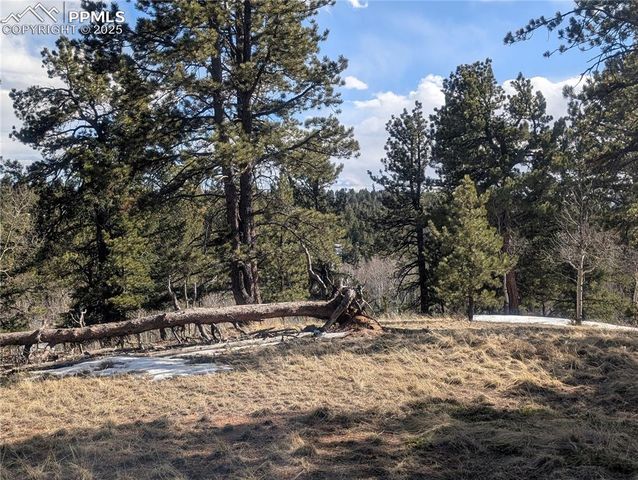 56 Rampart Circle, Florissant, CO 80816