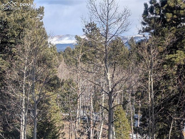 56 Rampart Circle, Florissant, CO 80816