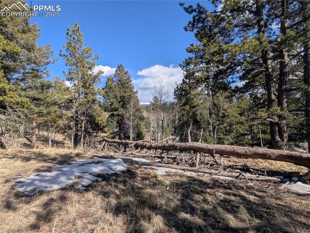 56 Rampart Circle, Florissant, CO 80816