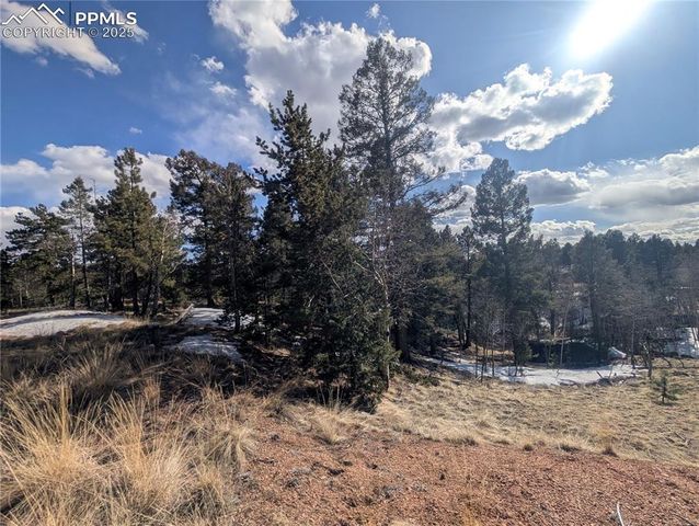 56 Rampart Circle, Florissant, CO 80816