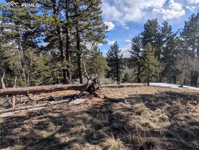 56 Rampart Circle, Florissant, CO 80816