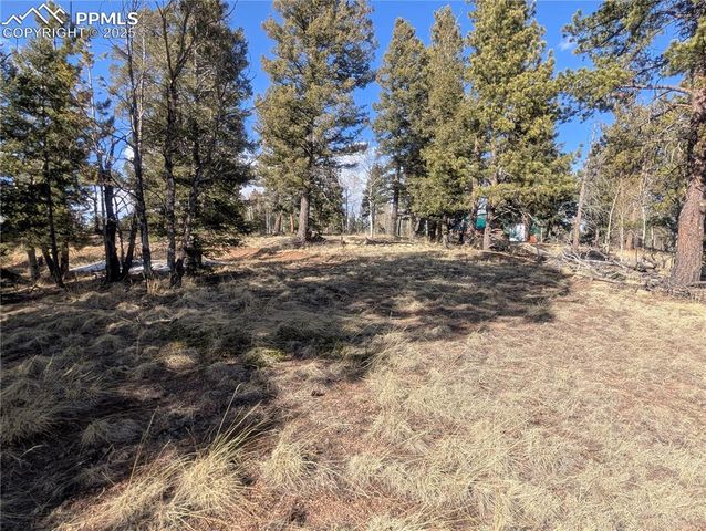 56 Rampart Circle, Florissant, CO 80816