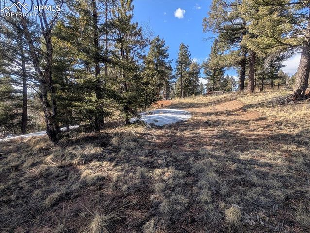 56 Rampart Circle, Florissant, CO 80816