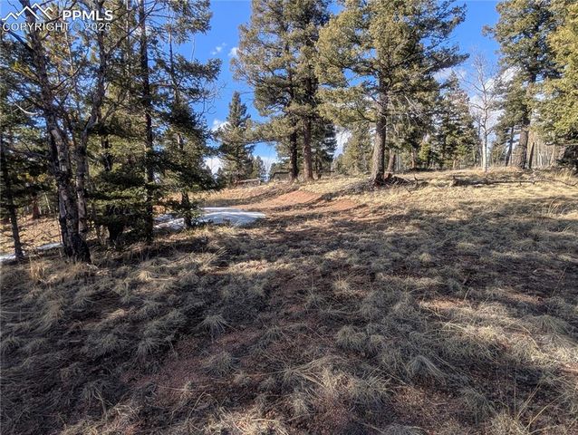 56 Rampart Circle, Florissant, CO 80816