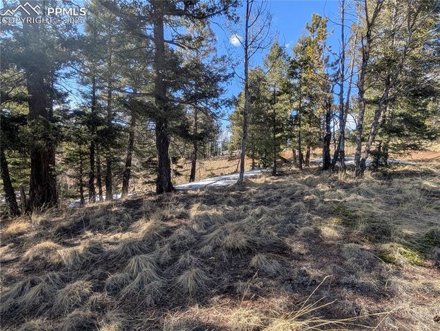 56 Rampart Circle, Florissant, CO 80816
