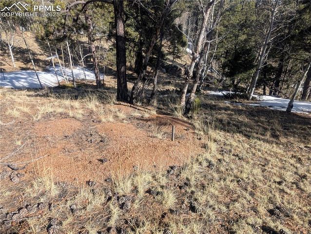 56 Rampart Circle, Florissant, CO 80816