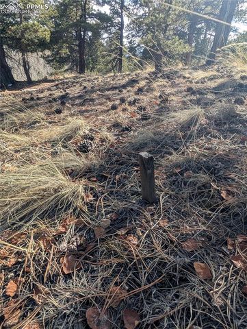 56 Rampart Circle, Florissant, CO 80816