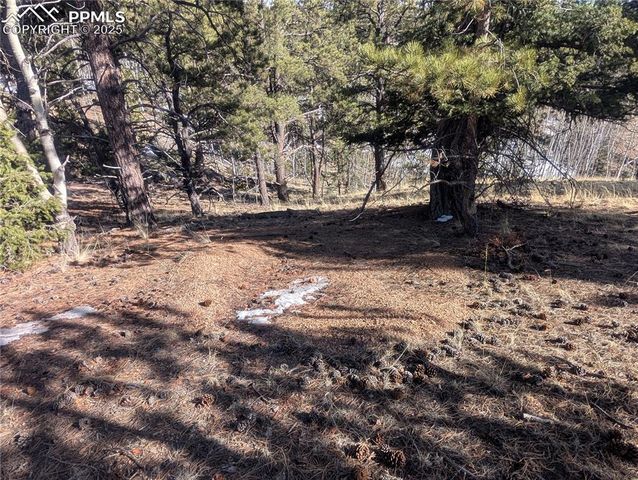 56 Rampart Circle, Florissant, CO 80816