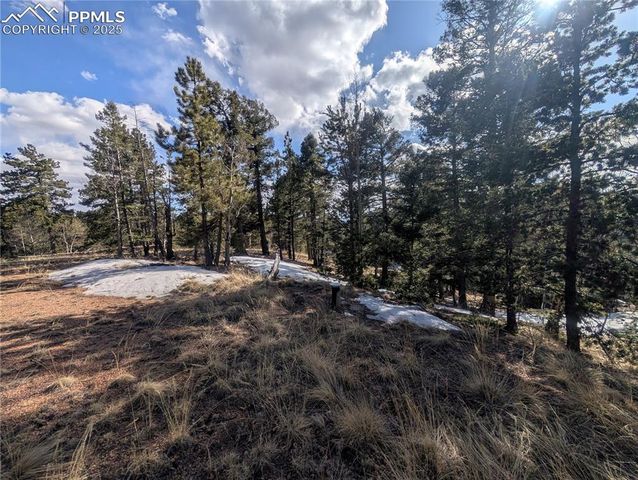 56 Rampart Circle, Florissant, CO 80816
