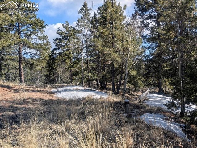 56 Rampart Circle, Florissant, CO 80816