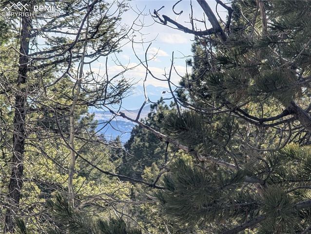 56 Rampart Circle, Florissant, CO 80816