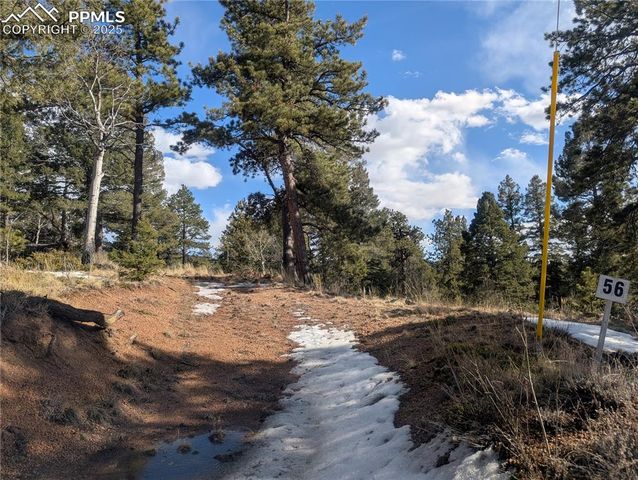 56 Rampart Circle, Florissant, CO 80816