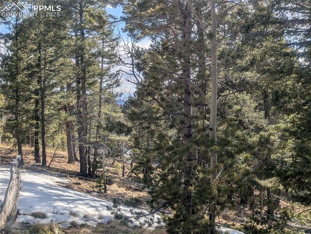 56 Rampart Circle, Florissant, CO 80816