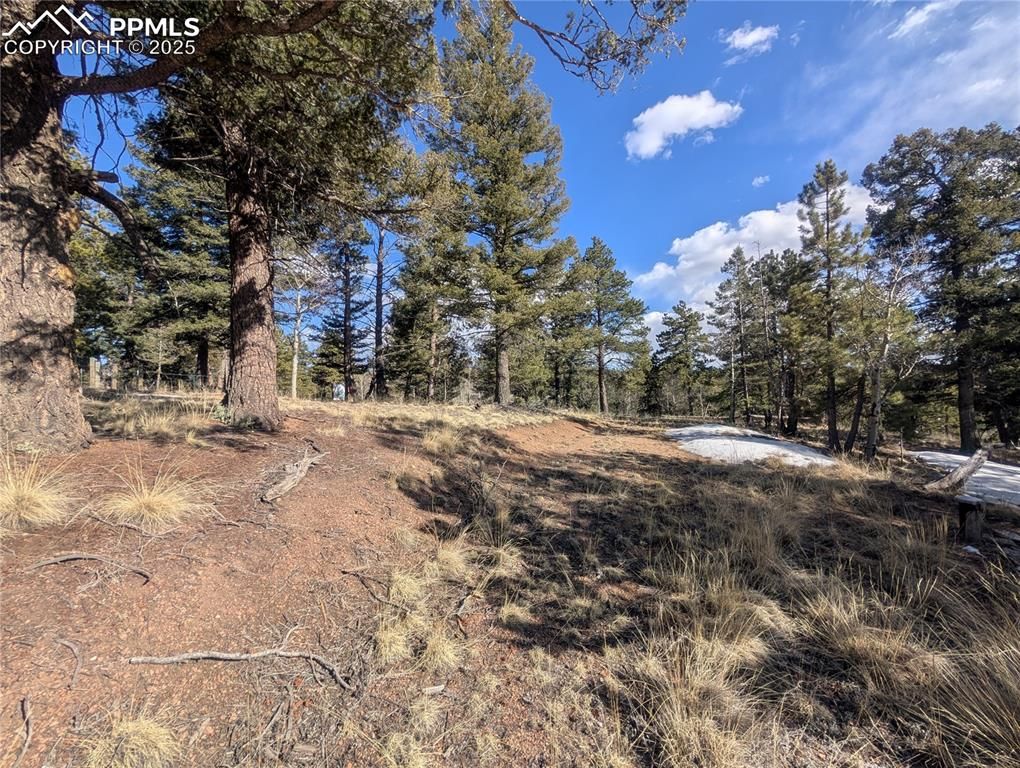 56 Rampart Circle, Florissant, CO 80816