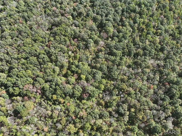 Off Hwy DD Mo-Dd, Glen Allen, MO 63655